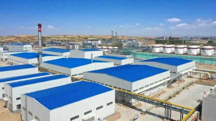 專精特新化工產業(yè)孵化基地項目 （B區(qū)）分析檢測區(qū)一、二標段 竣工驗收順利通過